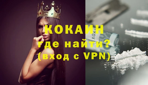 ПСИЛОЦИБИНОВЫЕ ГРИБЫ Корсаков