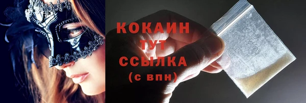 ПСИЛОЦИБИНОВЫЕ ГРИБЫ Корсаков