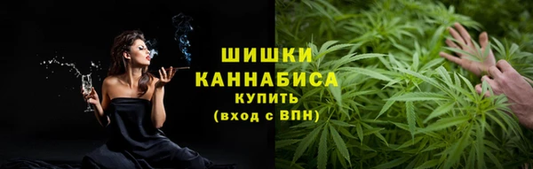ПСИЛОЦИБИНОВЫЕ ГРИБЫ Корсаков