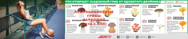ГАЛЛЮЦИНОГЕННЫЕ ГРИБЫ Коряжма