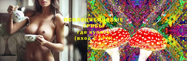 ГАЛЛЮЦИНОГЕННЫЕ ГРИБЫ Коряжма