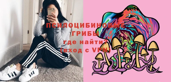 ГАЛЛЮЦИНОГЕННЫЕ ГРИБЫ Коряжма