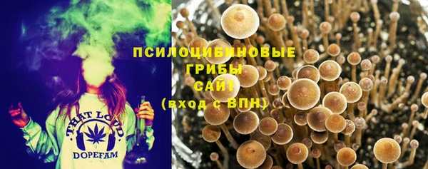 ГАЛЛЮЦИНОГЕННЫЕ ГРИБЫ Коряжма