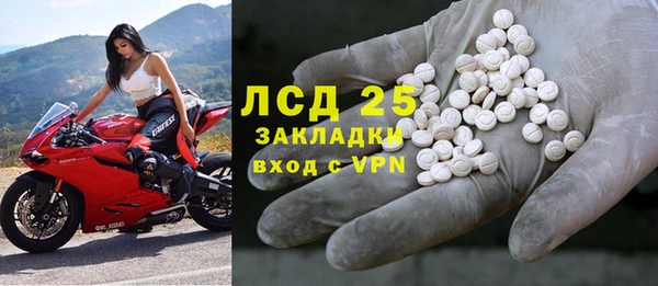 ПСИЛОЦИБИНОВЫЕ ГРИБЫ Корсаков