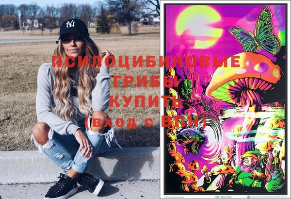 jwh Козельск