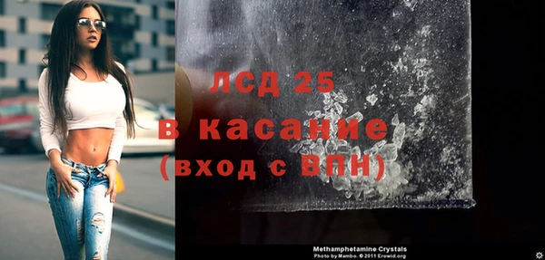 ПСИЛОЦИБИНОВЫЕ ГРИБЫ Корсаков