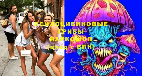 ГАЛЛЮЦИНОГЕННЫЕ ГРИБЫ Коряжма