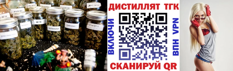 Дистиллят ТГК Wax Медвежьегорск