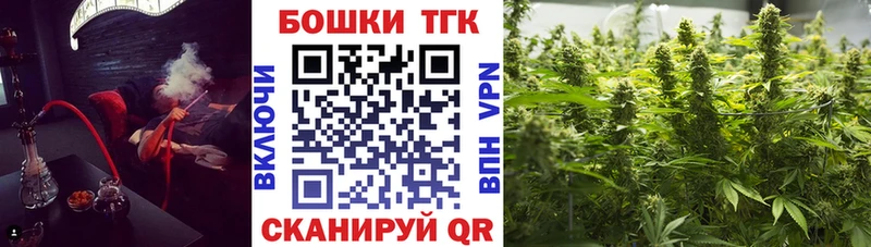 Канабис Amnesia  купить наркотики цена  Медвежьегорск 
